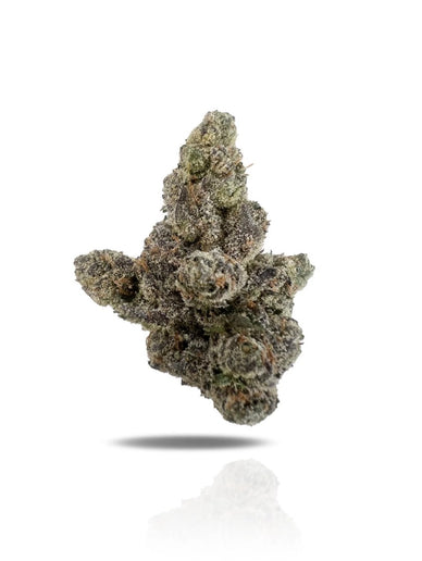 Transform Your Wellness Journey with Nature’s Essence